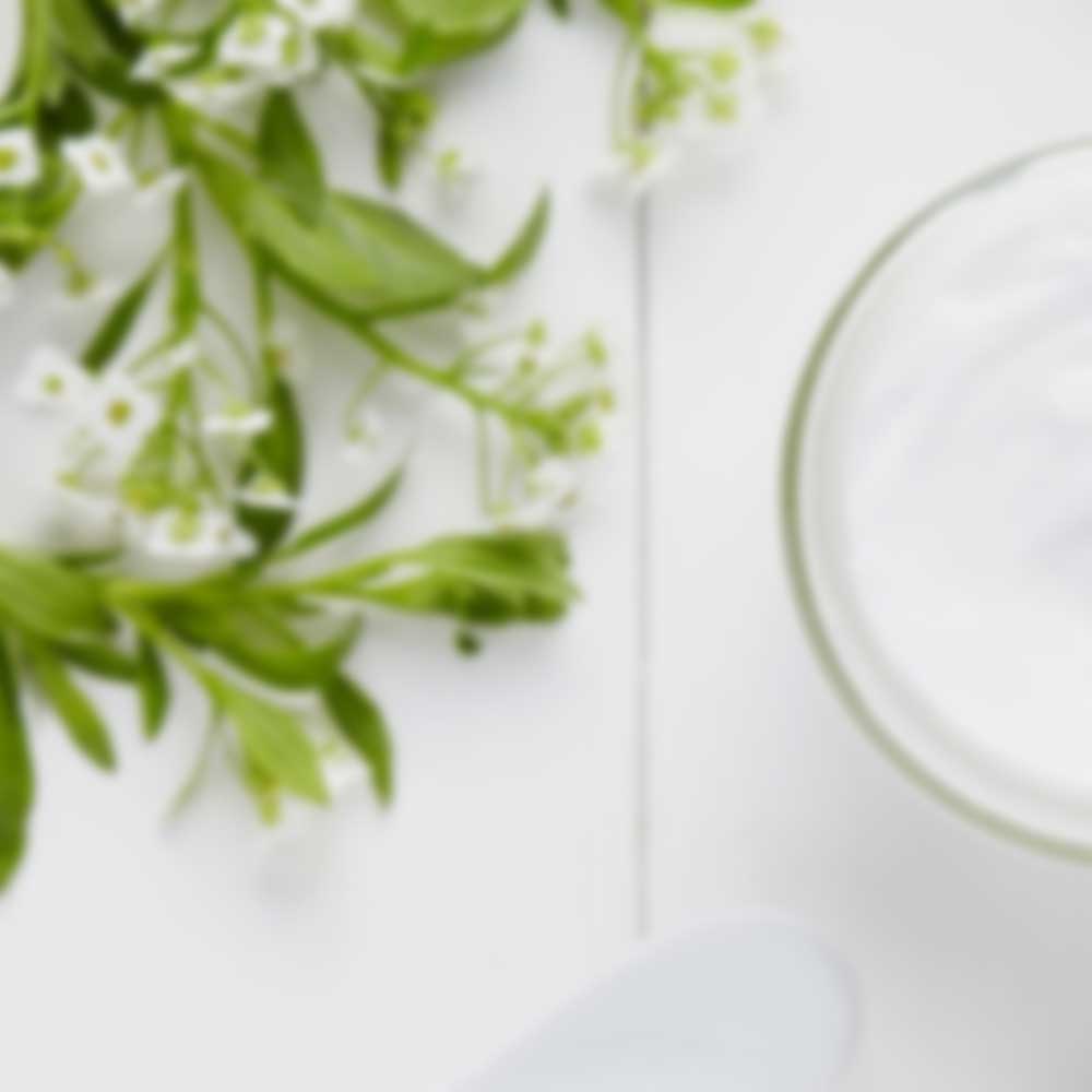 Ingredientes Naturais